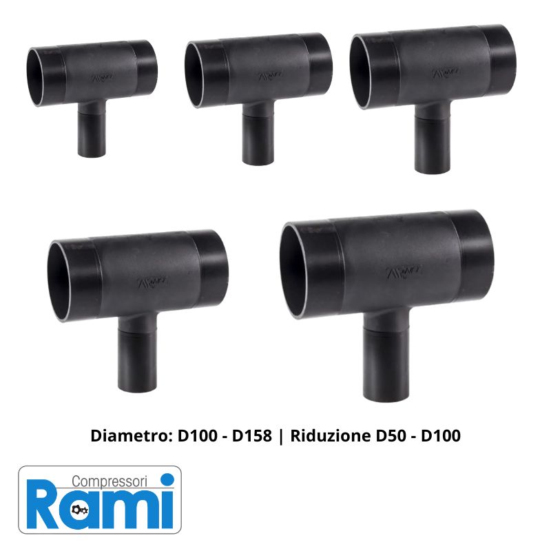 Immagine T ridotta - Foto gamma intera 2